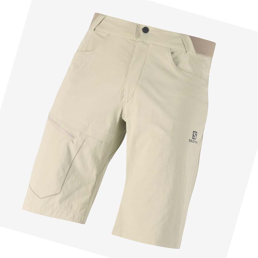 Bermudas Salomon WAYFARER Hombre Beige | MX 3147NWY